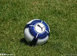 中国亚残运,会田径摘金,连连,55125中国彩吧,彩票平台,彩票预测,在线投注,彩票分析